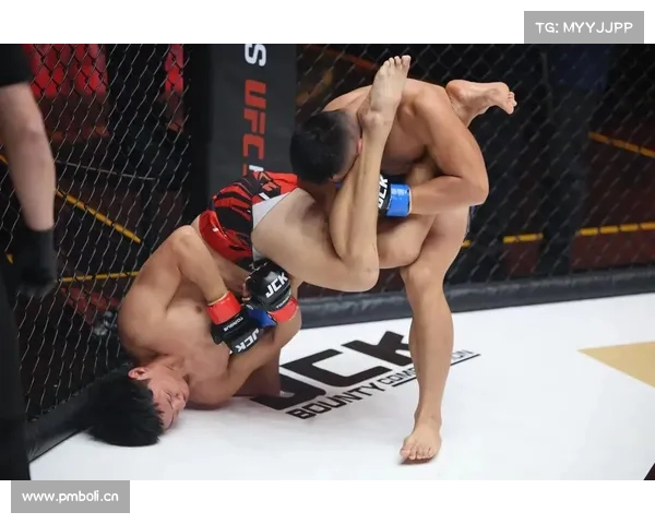 one ufc 区别