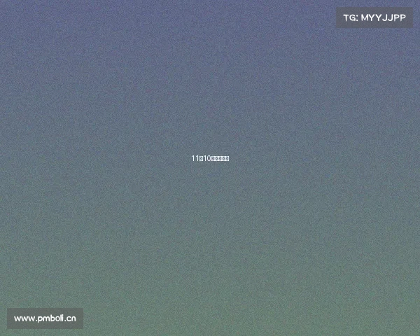 11月10号什么比赛