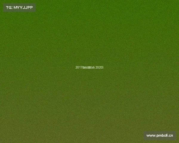 2017年stc赛事(sti 2020)