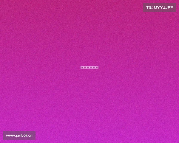 奥迪新赛事、奥迪赛事成绩