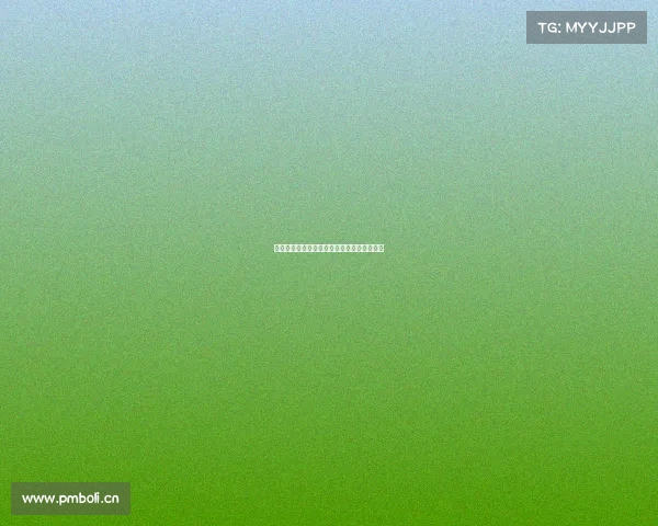 紫金征途:见证湖人赛季每一役的荣耀与挑战