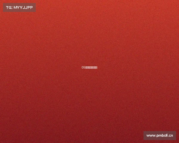 05年詹姆斯赛事战绩